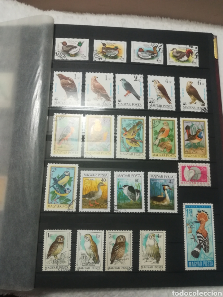 Sellos: Sellos tematica aves - Foto 4