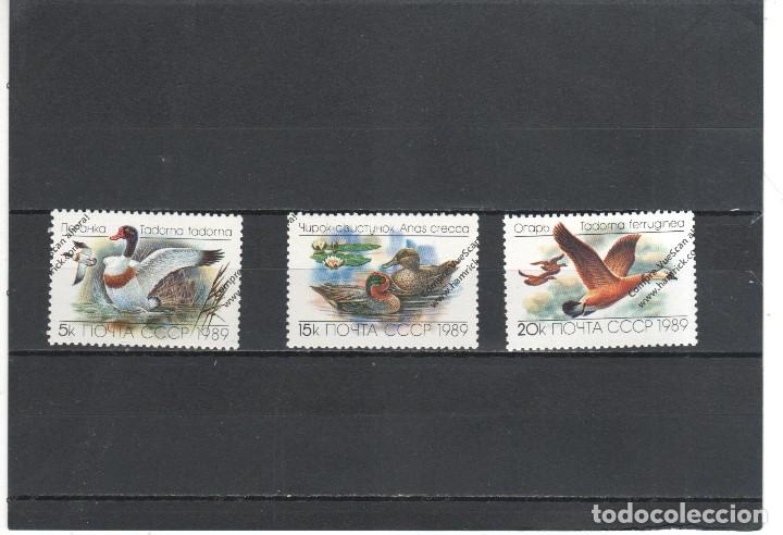 Sellos: RUSIA N&ordm; 5641 al 5643(**) - Foto 1
