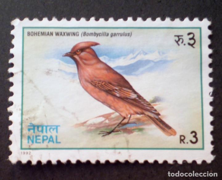 Sellos: 1992 Nepal Bombycilla garrulus - Foto 1