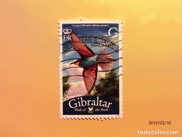 Sellos: GIBRALTAR - AVES - ABEJARUCO - MEROPS APIASTER. - Foto 1