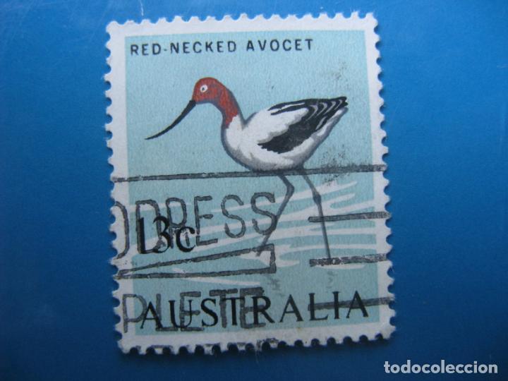 Sellos: +australia 1966, avoceta, Yvert 329 - Foto 1
