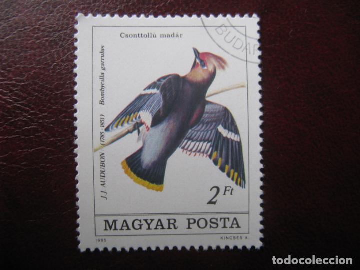 Sellos: +hungria, 1985, aves, Yvert 2986 - Foto 1