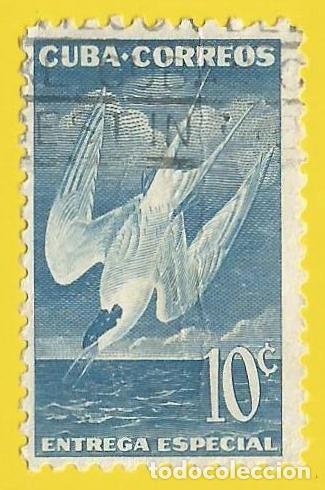 Sellos: CUBA. 1953. PAJARO. CHARRAN - Foto 1