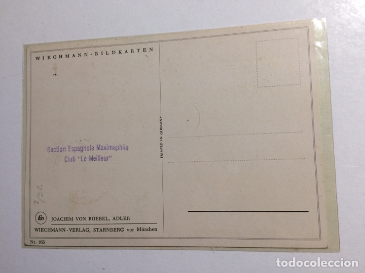 Sellos: Tarjeta Máxima Postal Sahara (Villa Cisneros-Rio de Oro) 1957. Aves - Foto 2 - 299847113