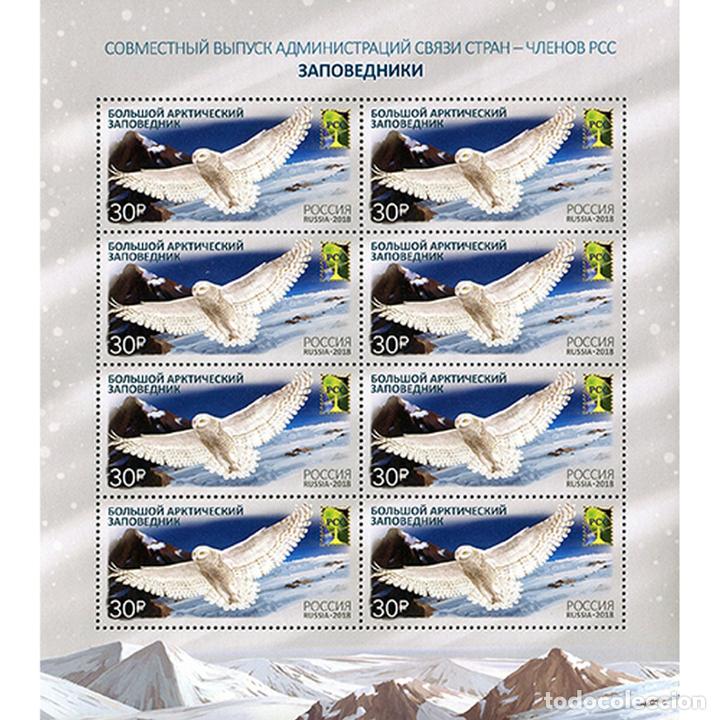 Sellos: ⚡ Discount Russia 2018 RCC Joint Issue - Reserves MNH - Owls - Foto 1 - 304339153