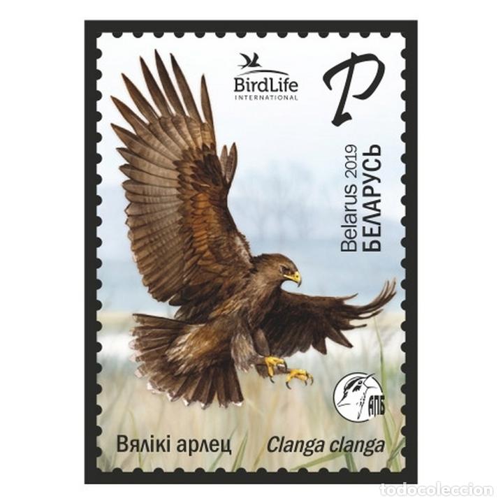 ⚡ DISCOUNT BELARUS 2019 GREAT SPOTTED EAGLE MNH - BIRDS (Sellos - Temáticas - Aves)