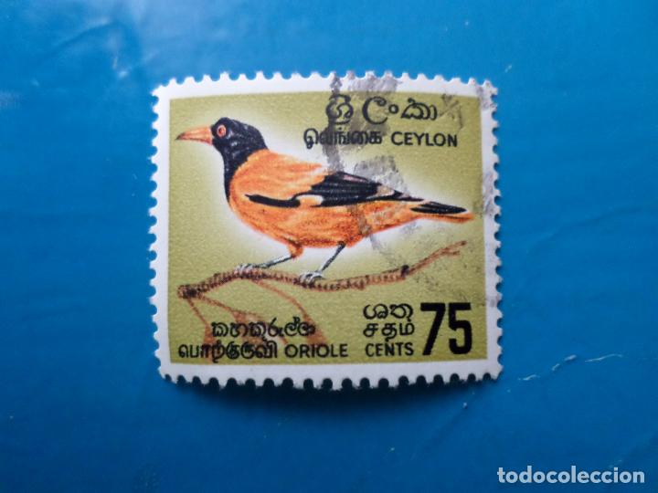 Sellos: ceylan, 1966, pajaros, Yvert 360 - Foto 1