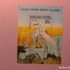 Sellos: 111 HUNGRIA HONGRIE MAGYAR POSTA 1980/ EGRETTA ALBA FAUNA BIRDS PAJAROS OISEAUX/ YVERT BLOC 150 MNH