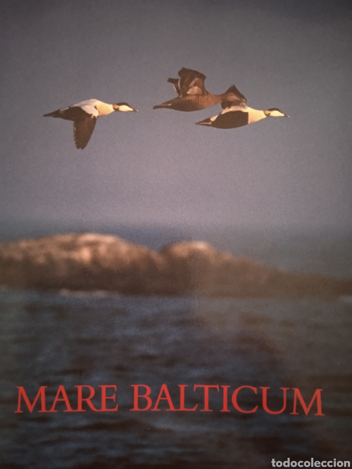 Sellos: Mare Balticum 1992 - Foto 1