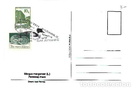 Sellos: Romania & Maximo, Mergus serrator, Isoara 1993 (7979) - Foto 2