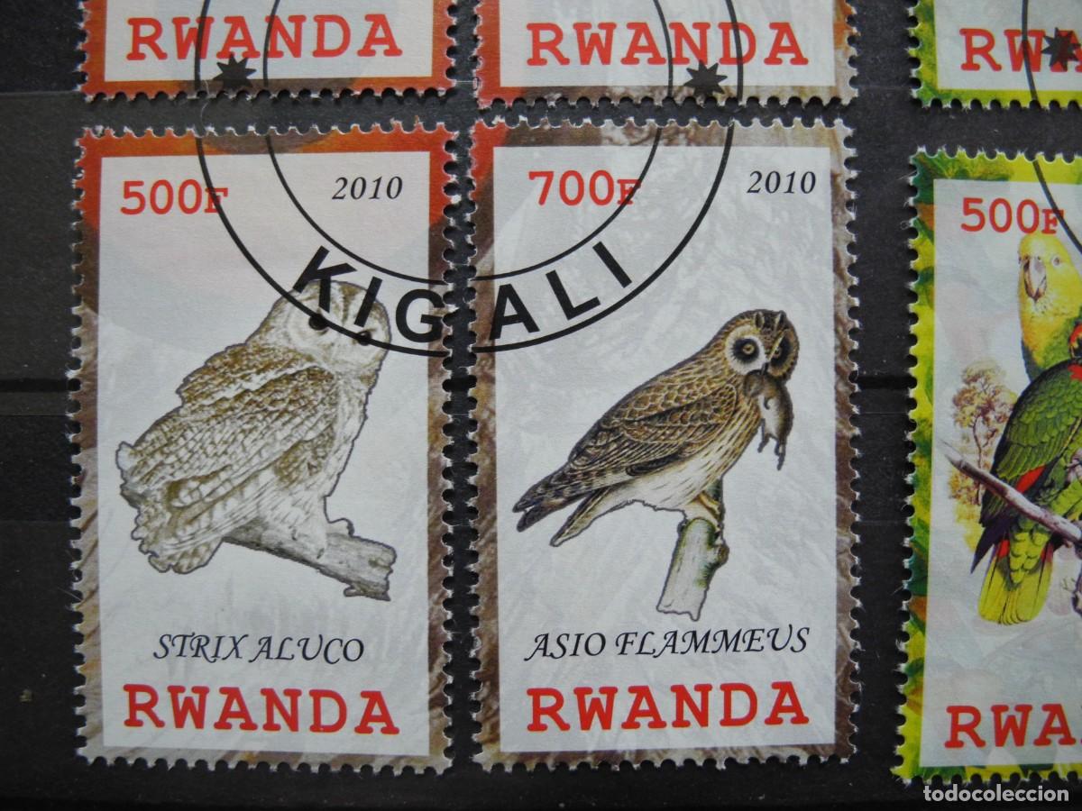 Sellos: Ruanda 2010. Ping&uuml;ino, b&uacute;ho, loro - Foto 3