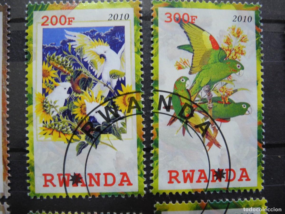 Sellos: Ruanda 2010. Ping&uuml;ino, b&uacute;ho, loro - Foto 4