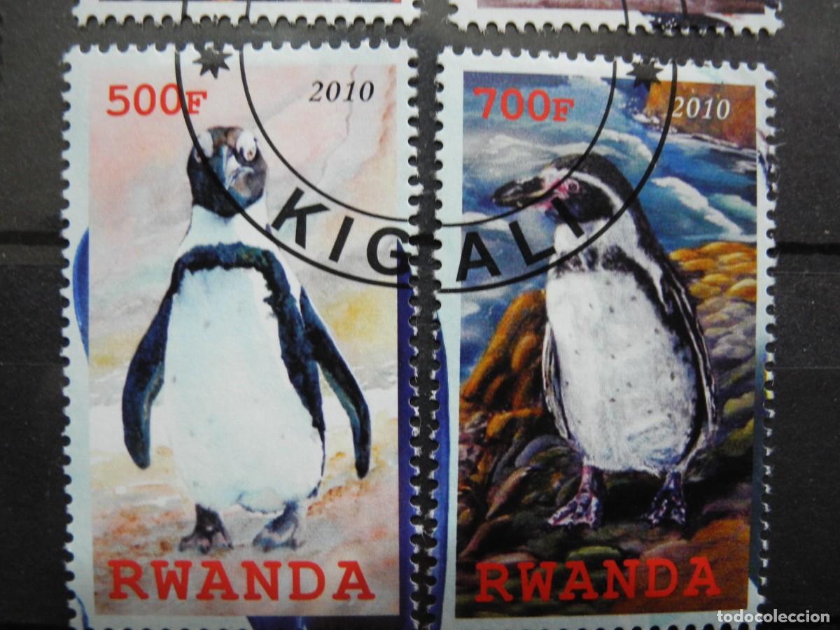 Sellos: Ruanda 2010. Ping&uuml;ino, b&uacute;ho, loro - Foto 7