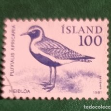 Sellos: SELLO USADO ISLANDIA 1981 AVES. Lote 400350829