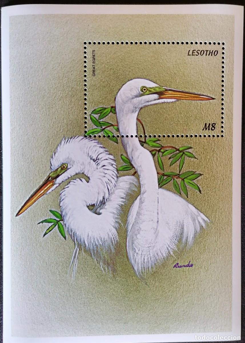 Sellos: LESOTHO 1999 - HB AVES . - Foto 1