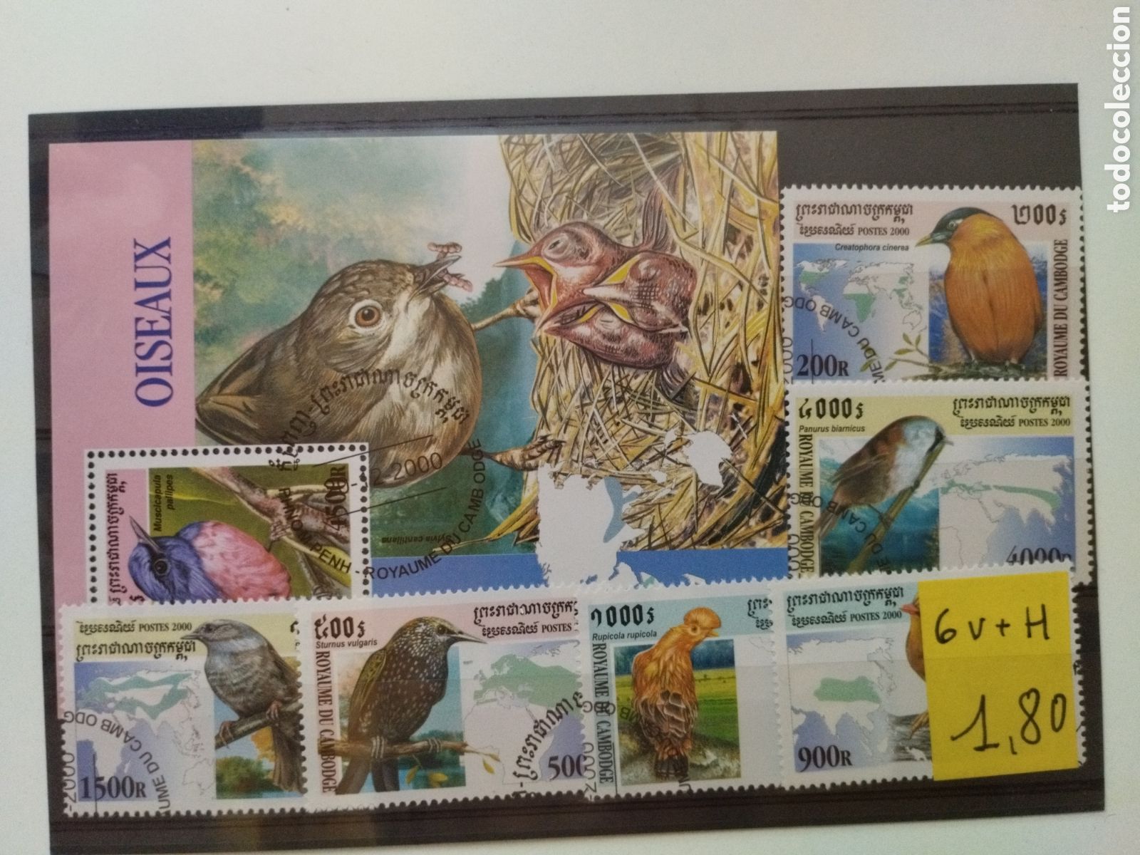 Sellos: HB+6v pajaros 2000 Cambodja - Foto 1
