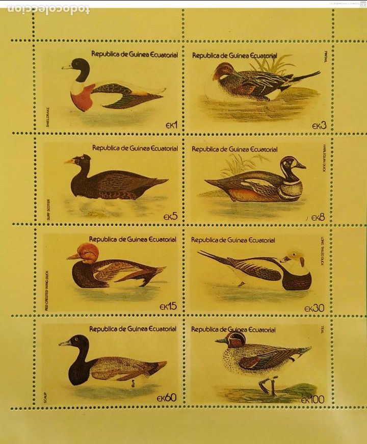 Sellos: Guinea Ecuatorial. 152 Aves acu&aacute;ticas ( 8 Valores). 1979. Sellos nuevos y numeraci&oacute;n Yvert.