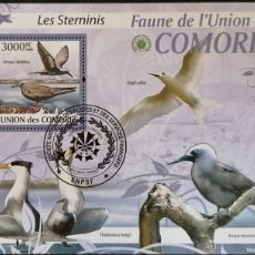 Sellos: COMORES 2009 - HB AVES .