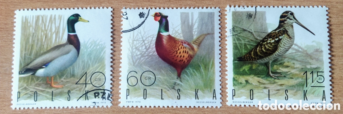 Sellos: Aves Polonia de 1970 - Foto 1