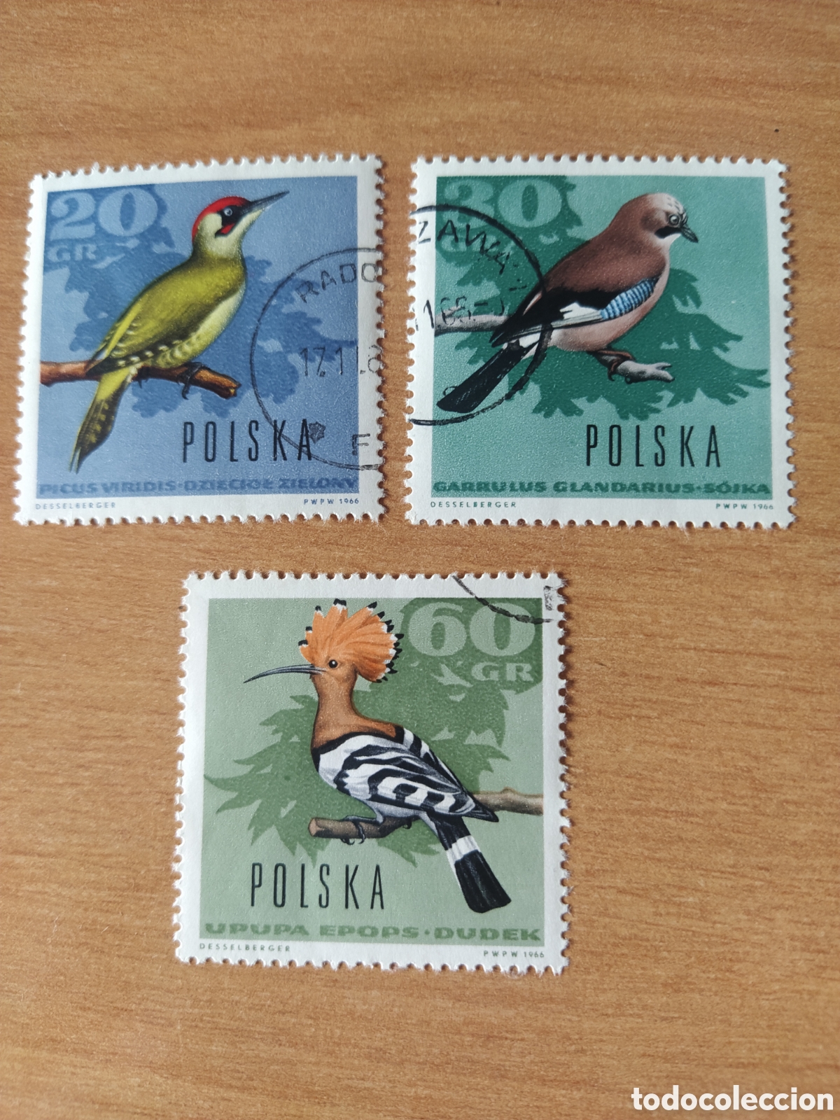 Sellos: Aves Polonia 1966 - Foto 1