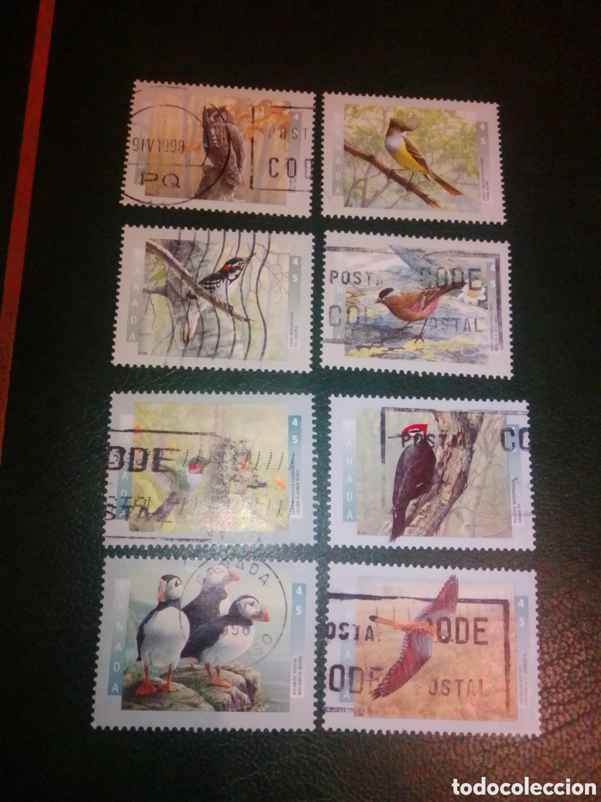 Sellos: Canad&aacute; aves fauna ...... - Foto 1