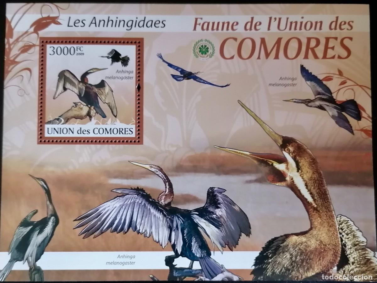 Sellos: COMORAS 2009 - HB AVES ACU&Aacute;TICAS . - Foto 1