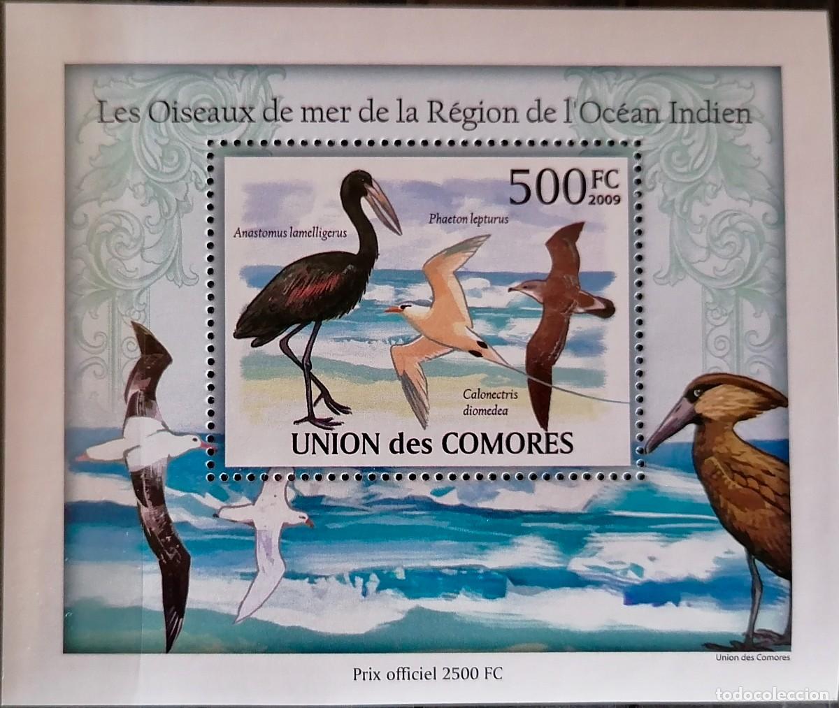 Sellos: COMORAS 2009 - HB AVES DEL OC&Eacute;ANO &Iacute;NDICO . - Foto 1