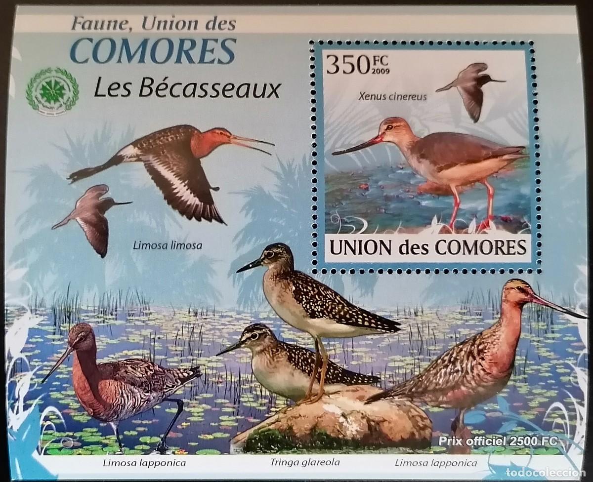 Sellos: COMORAS 2009 - HB AVES ACU&Aacute;TICAS . - Foto 1