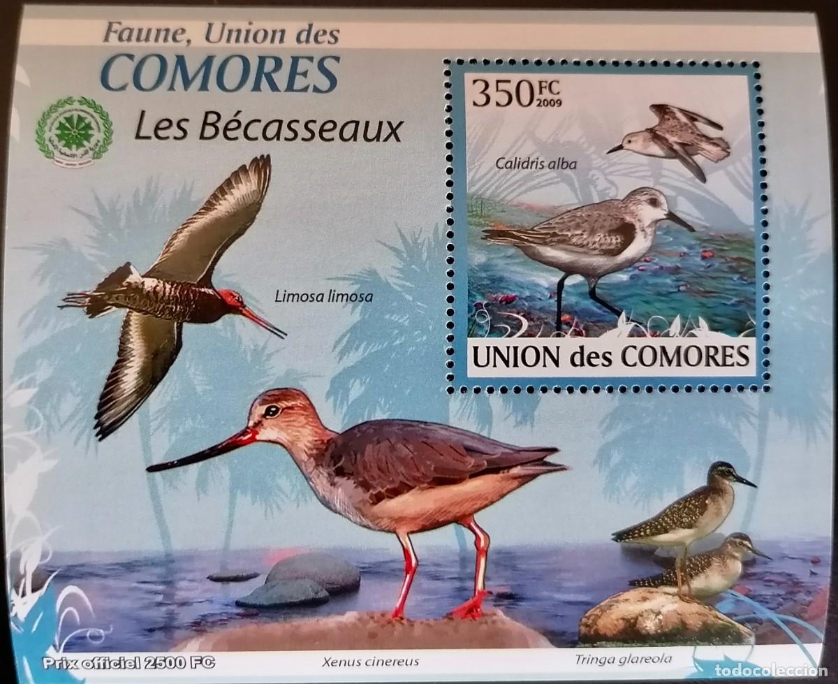Sellos: COMORAS 2009 - HB AVES ACU&Aacute;TICAS . - Foto 1