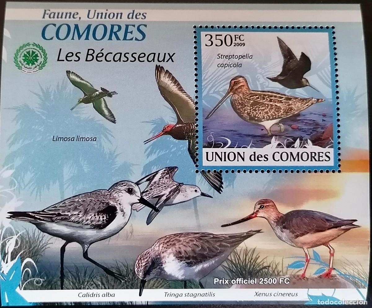 Sellos: COMORAS 2009 - HB AVES ACU&Aacute;TICAS . - Foto 1