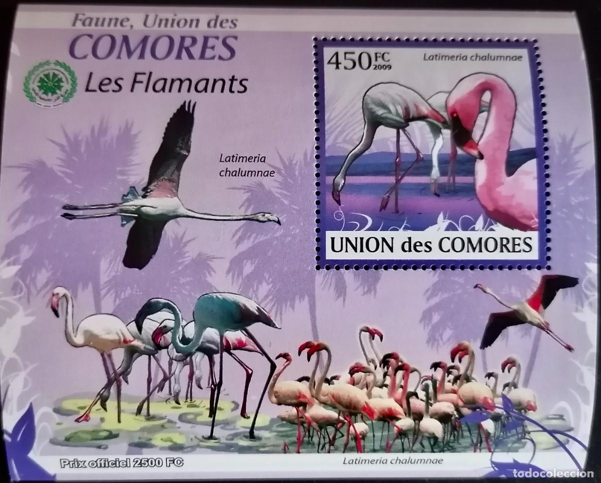 Sellos: COMORAS 2009 - HB FLAMENCOS . - Foto 1