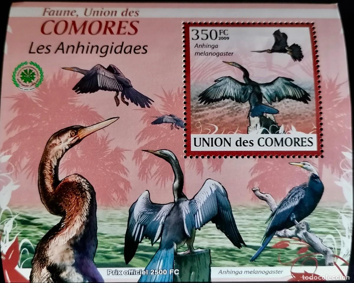 Sellos: COMORAS 2009 - HB AVES ACU&Aacute;TICAS . - Foto 1