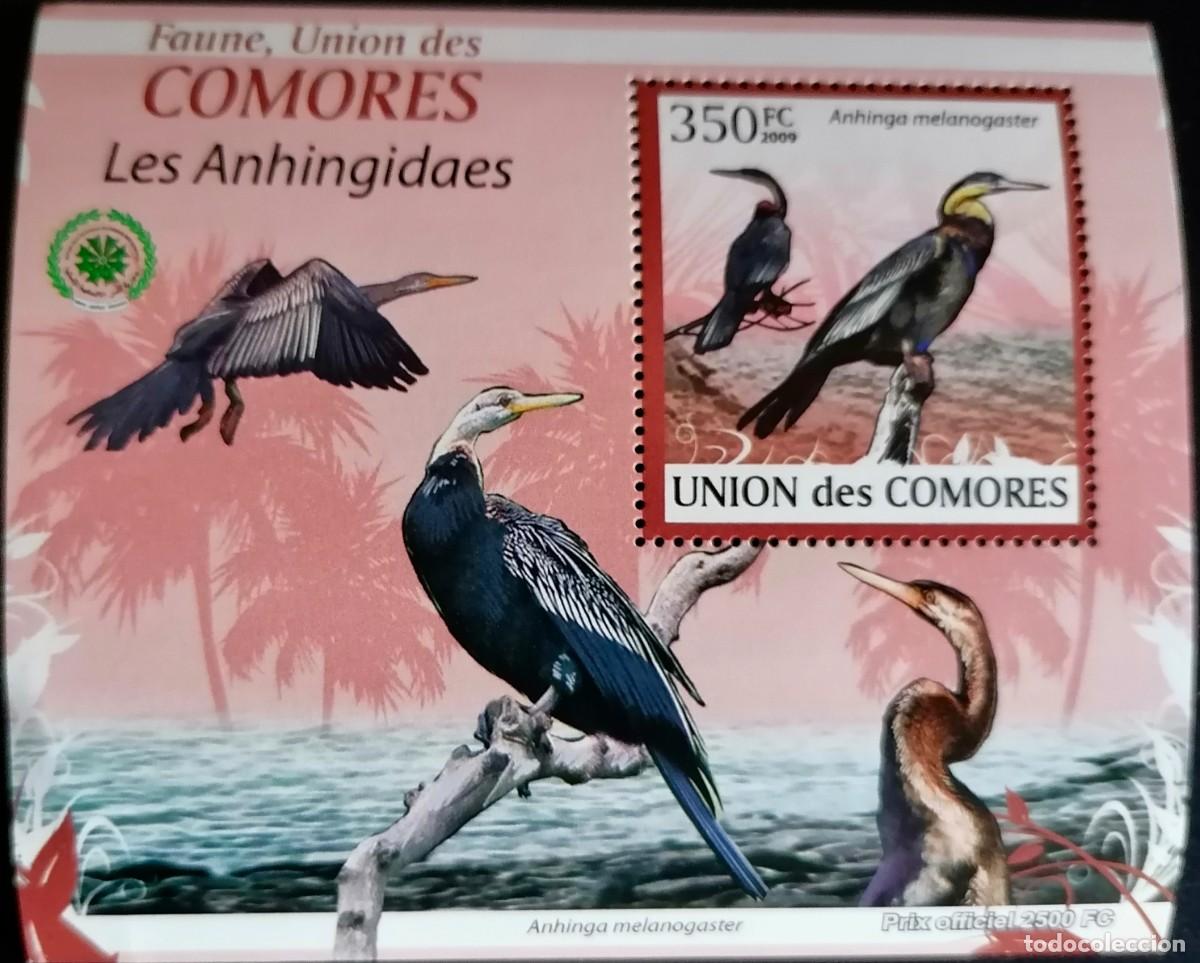 Sellos: COMORAS 2009 - HB AVES ACU&Aacute;TICAS . - Foto 1