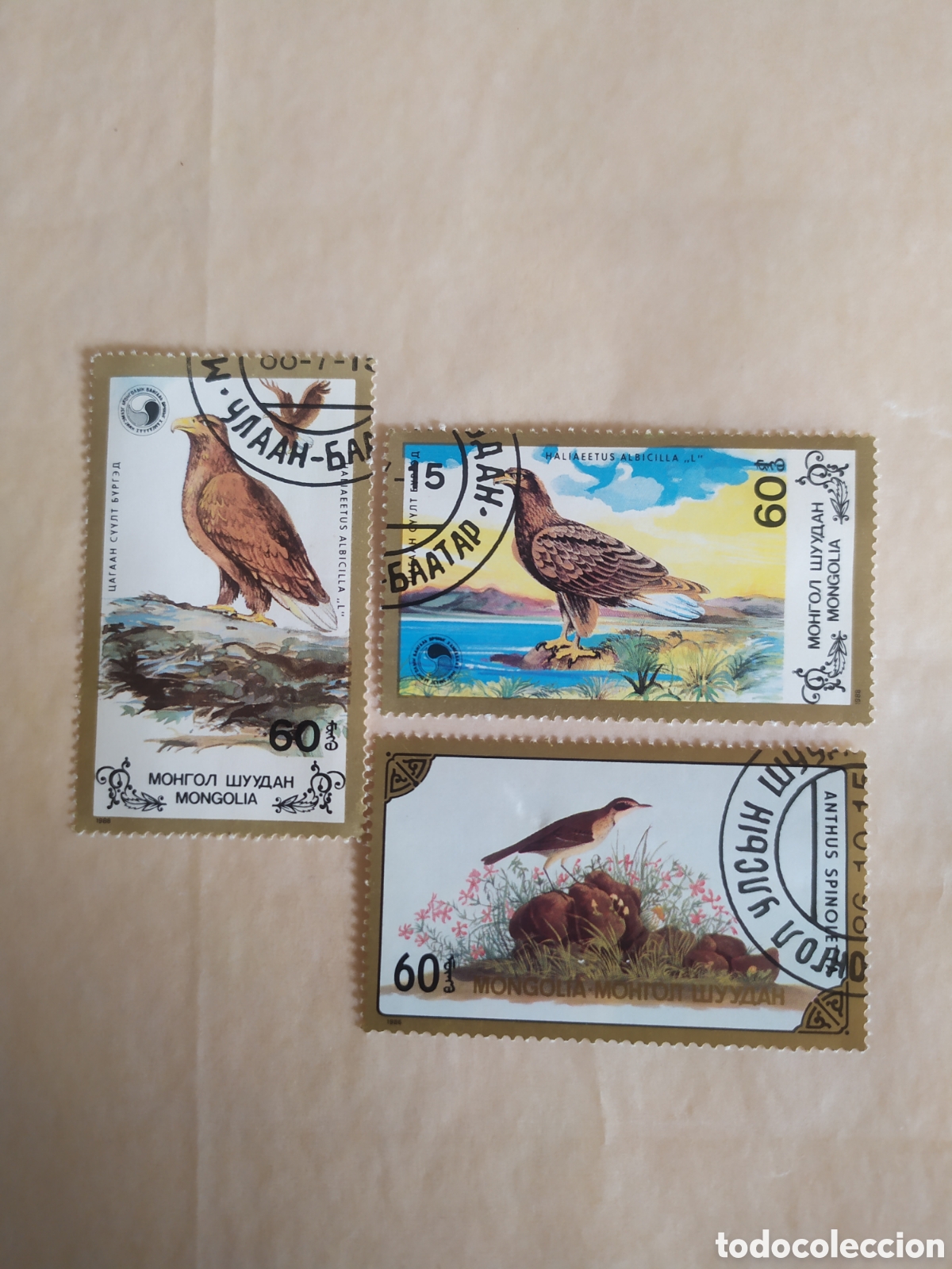 Sellos: SELLO USADO AVES MONGOLIA - Foto 1