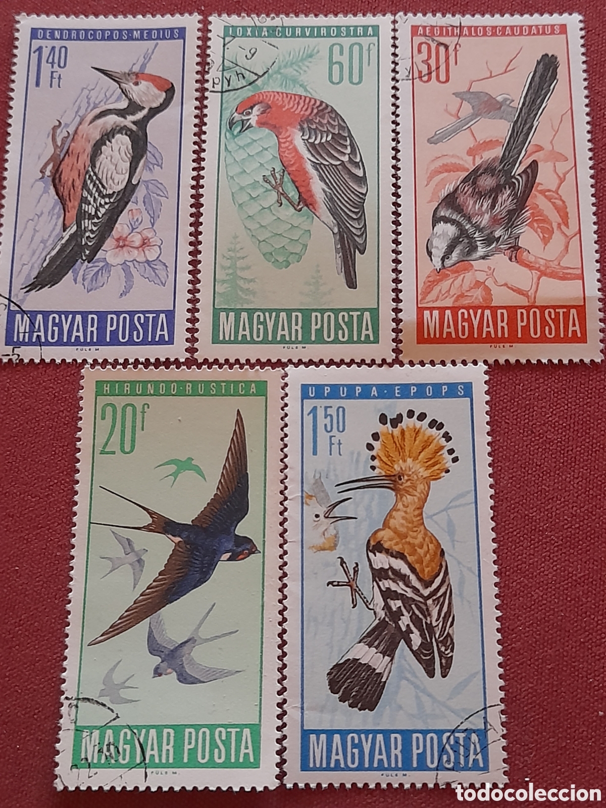 Sellos: Sello (5/6v) Hungr&iacute;a mtdo 1966. Aves, p&aacute;jaros protegidos. Fauna. Animales. Loro. Carpintero. Abubiya