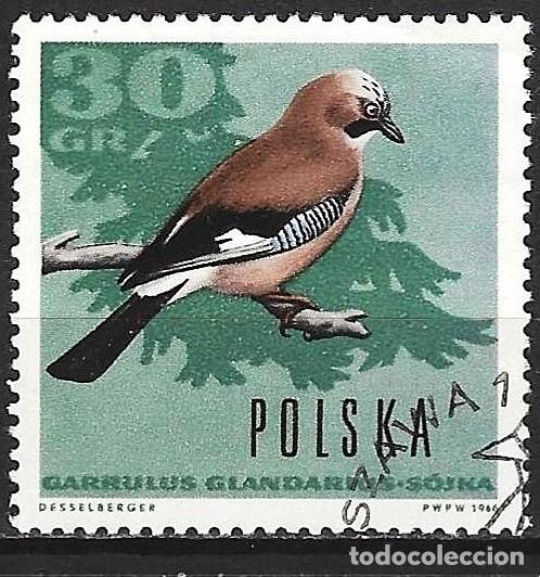 Sellos: Polonia 1966 - Mi 1720 - YT 1570 - Ave : Garrapata