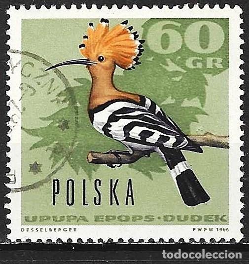 Sellos: Polonia 1966 - Mi 1722 - YT 1572 - Ave : Abubilla
