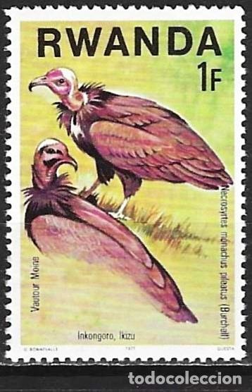 Sellos: Ruanda 1977 - Mi 896 - YT 807 - Ave rapaz : Vulture - MNH**