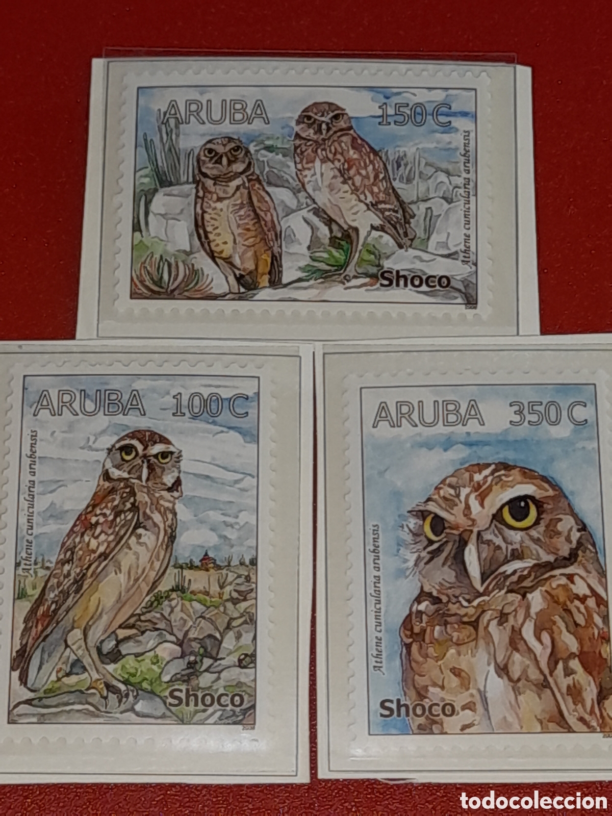 Sellos: Sello Aruba nuevo 2008. B&uacute;ho local. Aves. P&aacute;jaros. Fauna. Rapaces. Mochuelo. Lechuza.