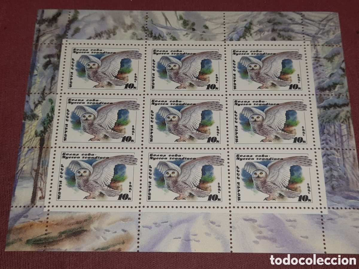 Sellos: HB Rusia (CCCP, URSS) nuevo 1990. B&uacute;ho. Aves rapaces. Depredador. Mochuelo. P&aacute;jaros. Lechuza. Fauna.