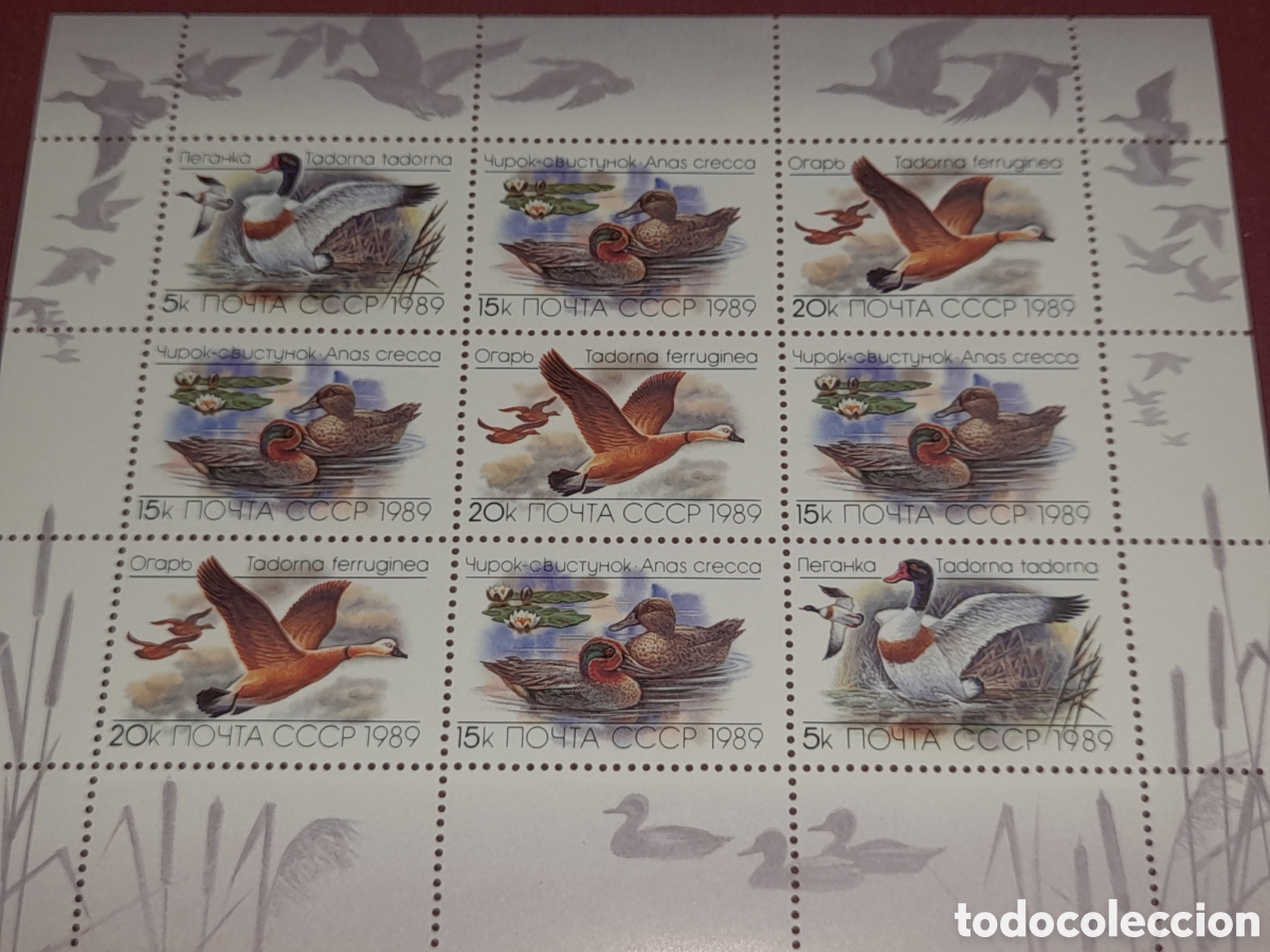 Sellos: HB Rusia (CCCP) nueva 1989. Patos. Aves. P&aacute;jaros acu&aacute;ticos. Ganso. Oca. Fauna. Animales.