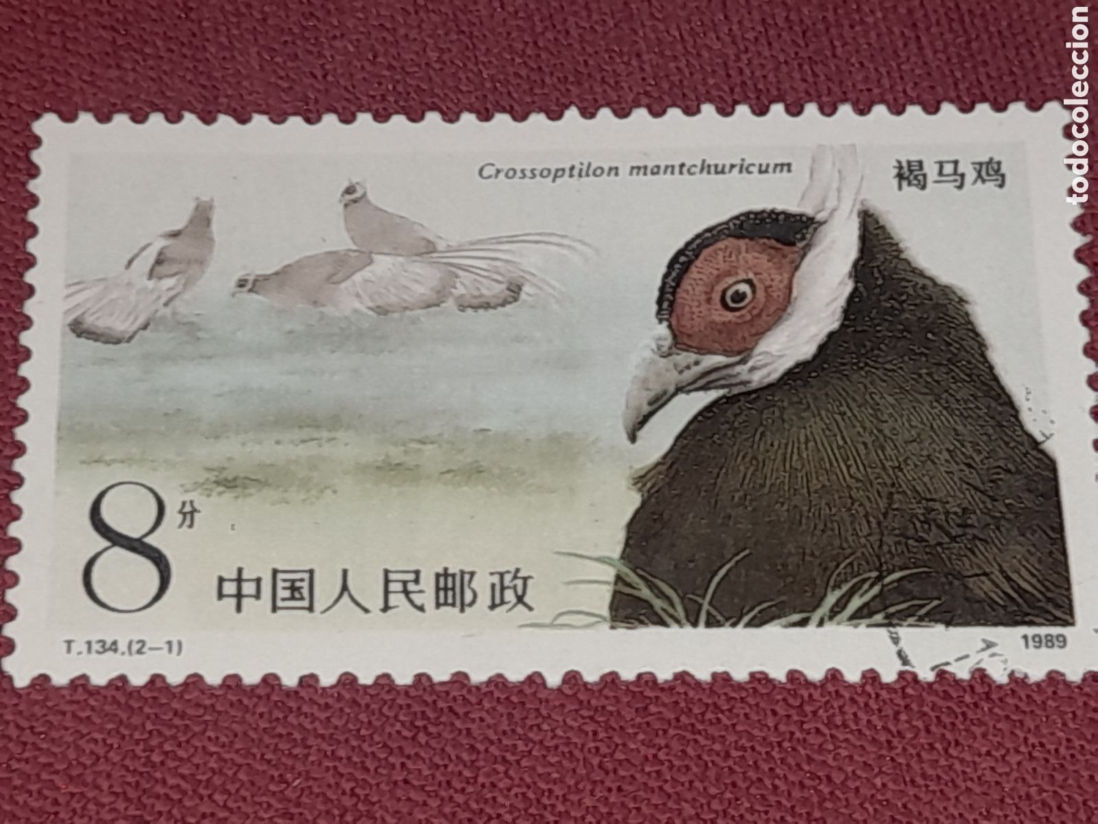 Sellos: Sello (1/2v) China mtdo 1989. Fauna protegida. Fais&aacute;n orejudo perro. Aves. P&aacute;jaros. Animales salvaje