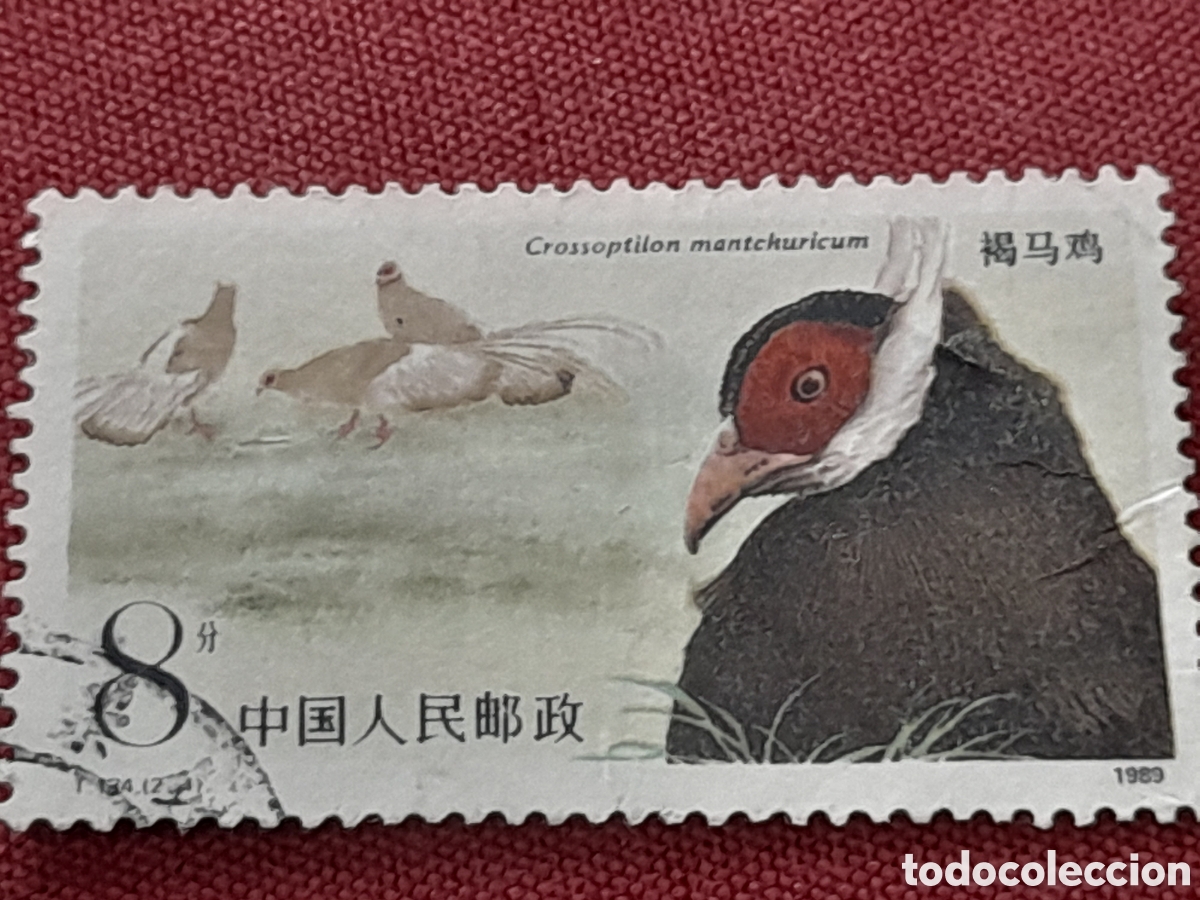 Sellos: Sello (1/2v) China mtdo 1989. Fauna protegida. Fais&aacute;n orejudo perro. Aves. P&aacute;jaros. Animales salvaje