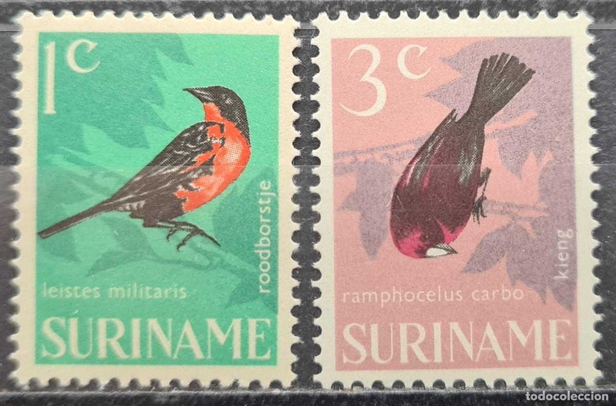 Sellos: Serie de sellos de Surinam 1966: aves
