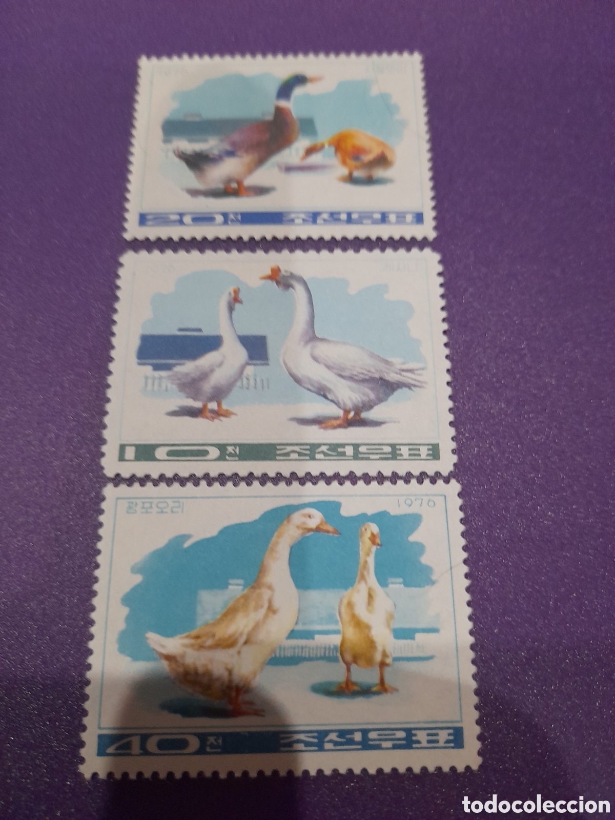 Sellos: Sello Corea Norte nuevo, sin goma, resto bisagra 1976. Patos ybocas. Ganso..Aves acu&aacute;ticas. P&aacute;jaros.