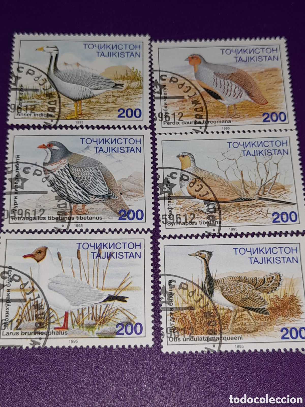 Sellos: Sello Tayikist&aacute;n mtdo 1996. Aves protegidas. P&aacute;jaros. Fauna. Perdiz. Codorniz. Otis. Ganso. Avutarda