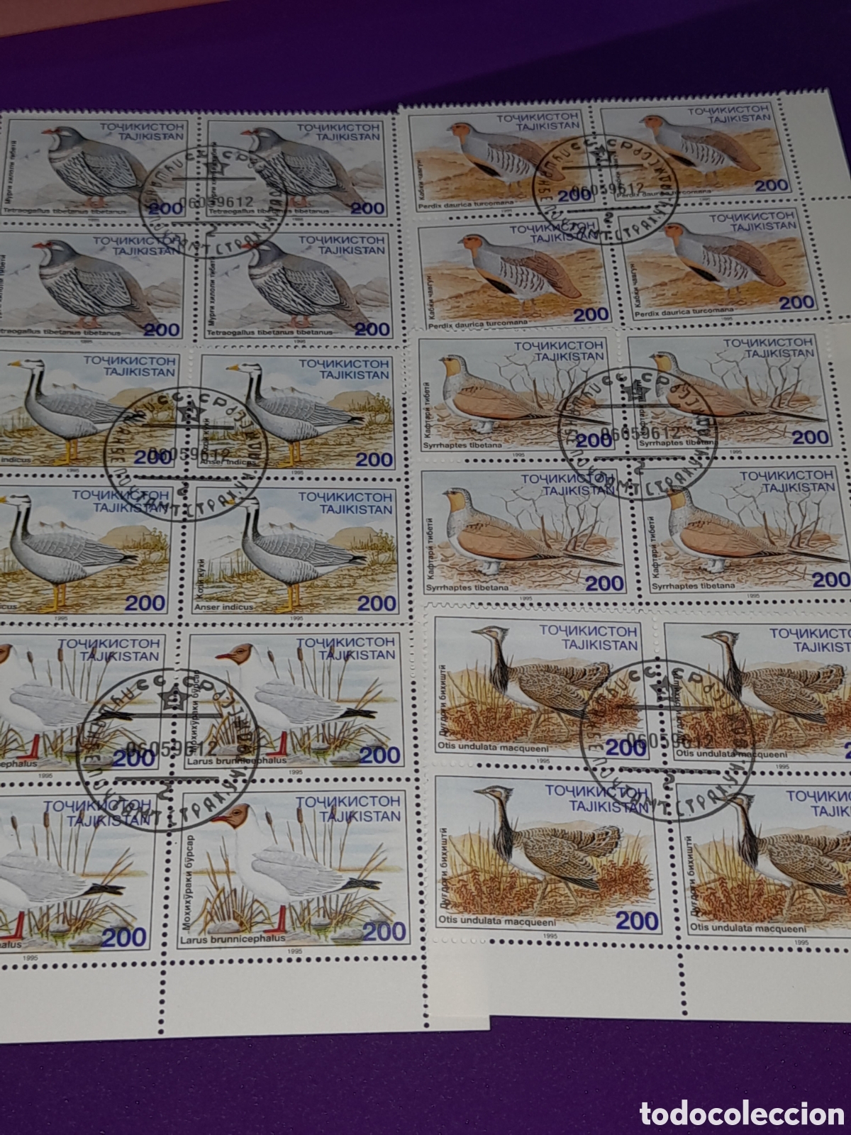 Sellos: Sello Tayikist&aacute;n mtdo 1996. Aves protegidas. P&aacute;jaros. Fauna. Perdiz. Codorniz. Otis. Ganso. Avutarda