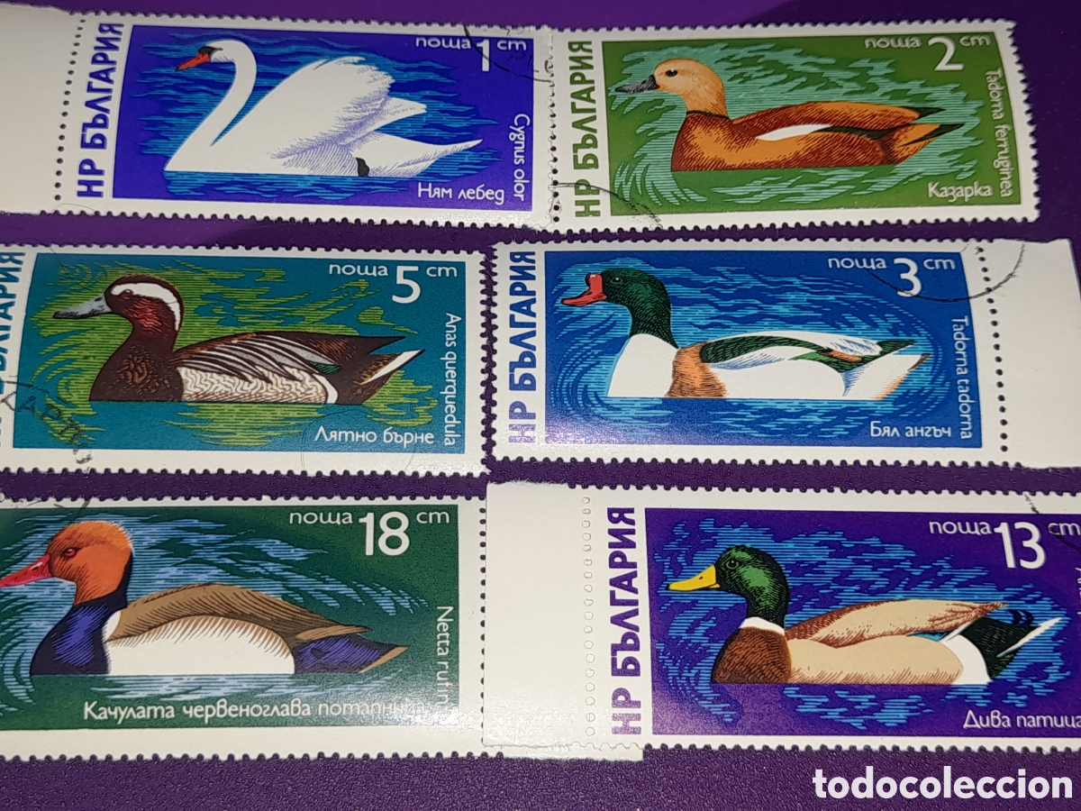 Sellos: Sello Bulgaria mtdo 1976. Aves acu&aacute;ticas. P&aacute;jaros. Fauna. Ocas. Patos. Cisne. Ganso.
