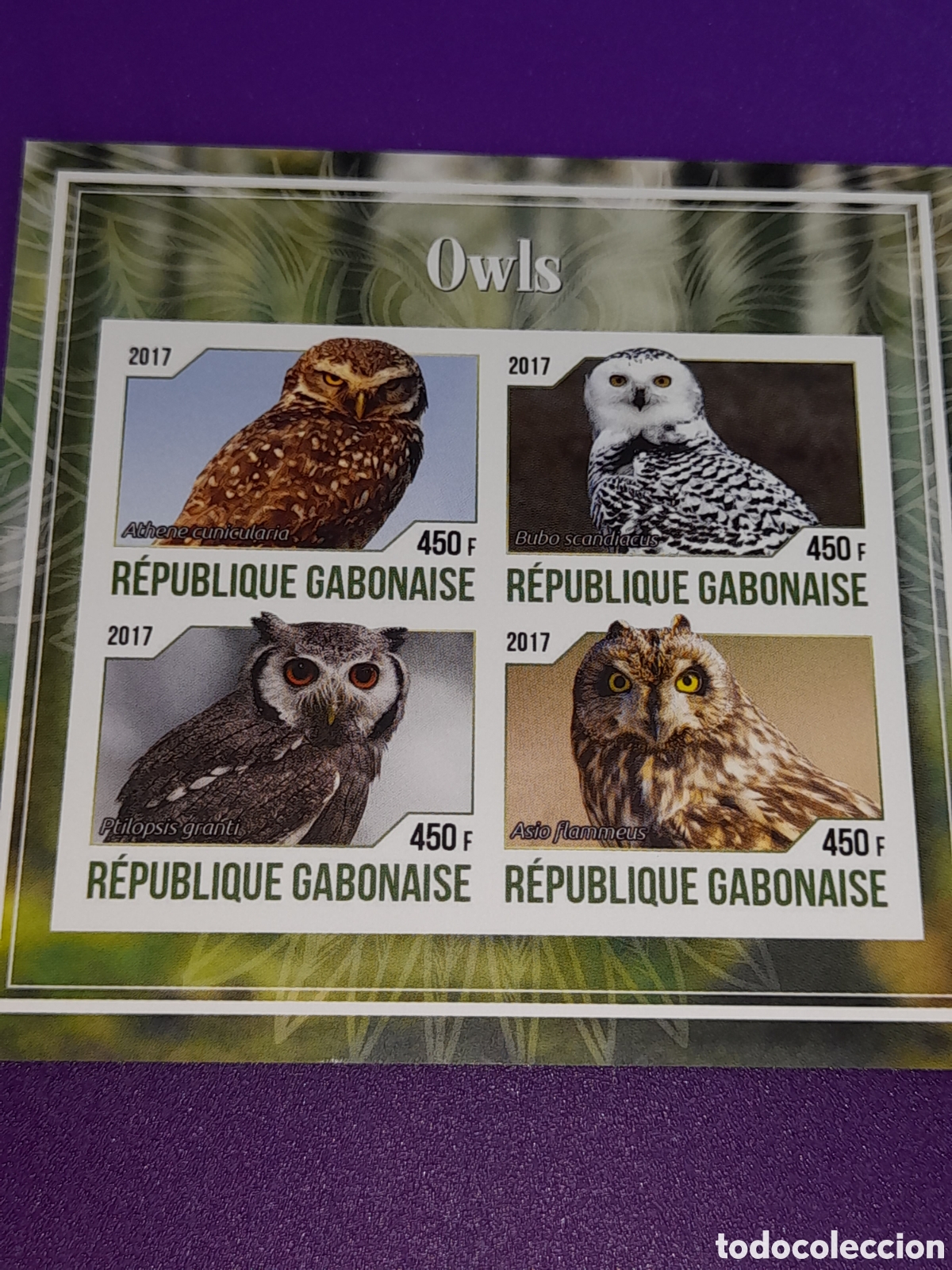 Sellos: HB Gabon nuevo/sd 2017. Aves. P&aacute;jaros. B&uacute;ho. Mochuelo. Depredador. Lechuza. Fauna.