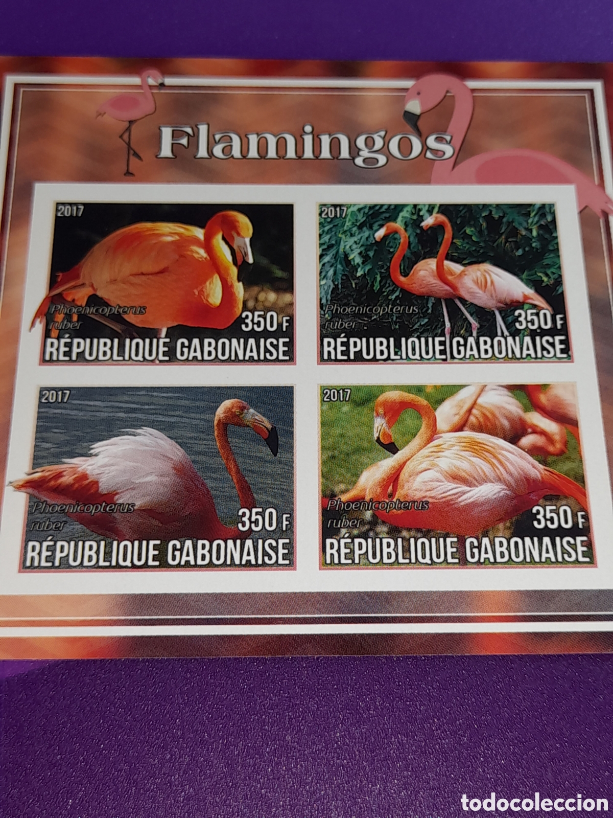 Sellos: HB Gabon nuevo/sd 2017. Flamenco. Aves acu&aacute;ticas. P&aacute;jaros. Fauna.
